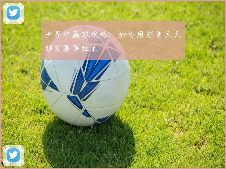 世界杯赢球攻略:如何用彩票天天锁定赛事红利