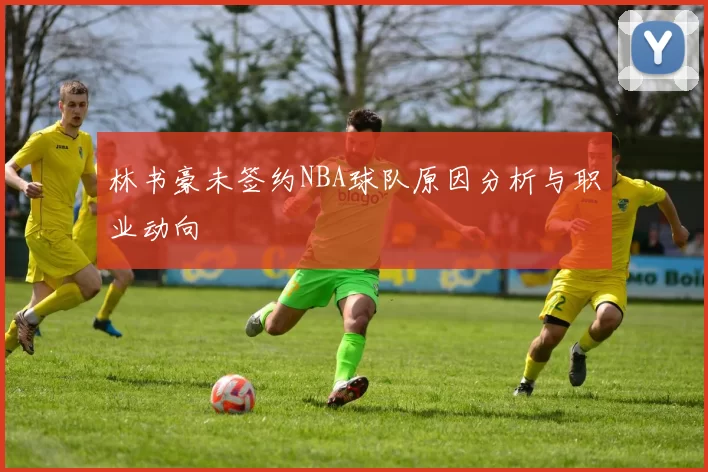 林书豪未签约NBA球队原因分析与职业动向