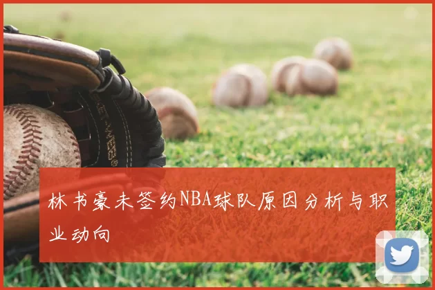 林书豪未签约NBA球队原因分析与职业动向