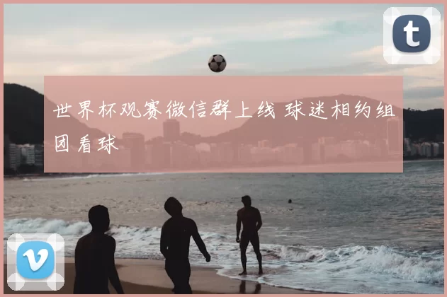 世界杯观赛微信群上线 球迷相约组团看球