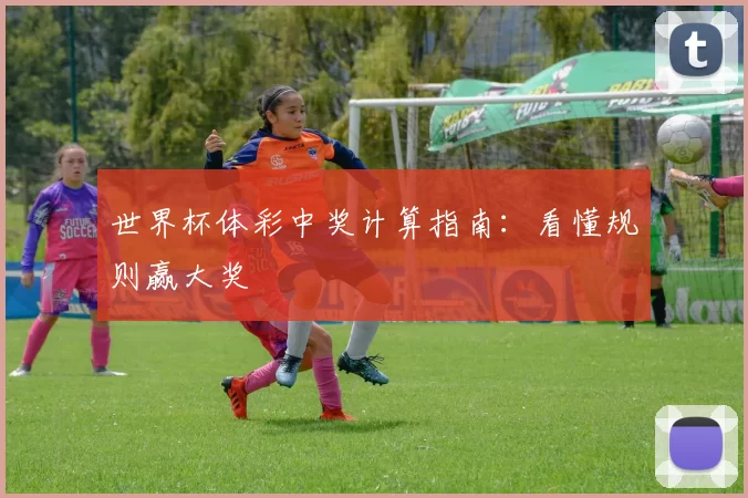 世界杯体彩中奖计算指南:看懂规则赢大奖