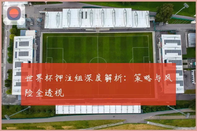 世界杯押注组深度解析:策略与风险全透视