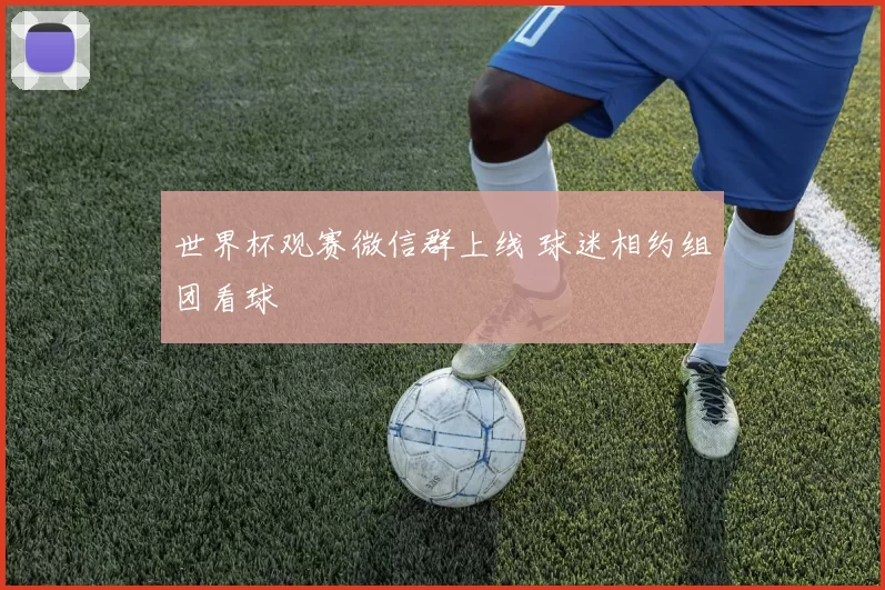 世界杯观赛微信群上线 球迷相约组团看球