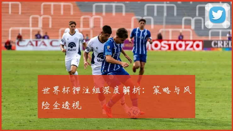 世界杯押注组深度解析:策略与风险全透视