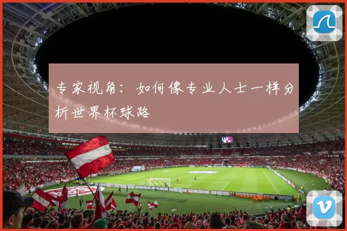 专家视角:如何像专业人士一样分析世界杯球路
